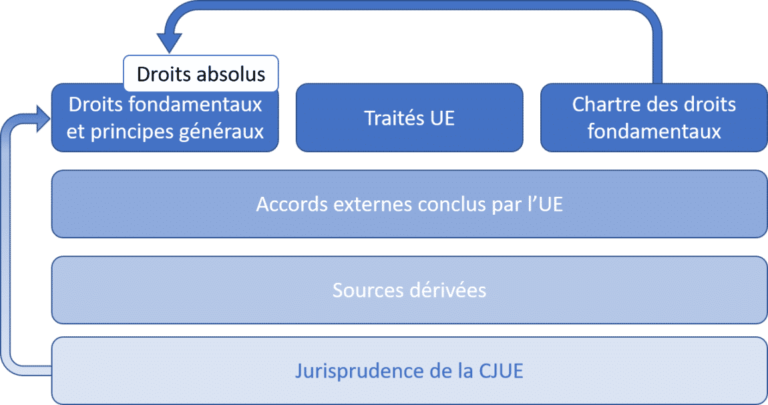 Application Et Sources Du Droit De L'Union – Sedlex – Votre Pense-bête ...